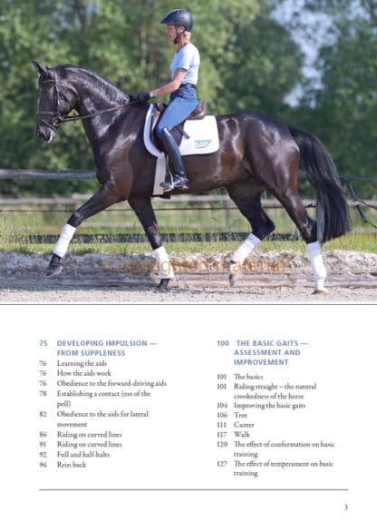 Basic Training of the Young Horse