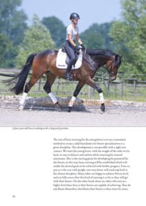 Basic Training of the Young Horse Basic Training of the Young Horse