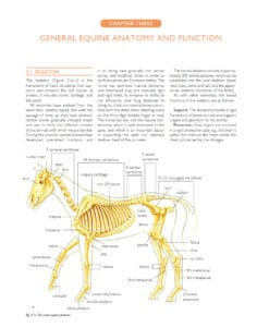 Principles of Farriery Principles of Farriery