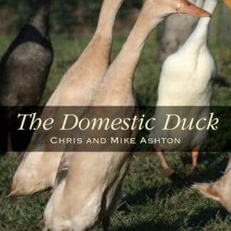 The Domestic Duck (Ebook)
