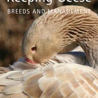 Keeping Geese (Ebook)