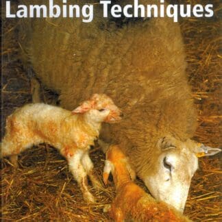 A Manual of Lambing Techniques (Ebook)
