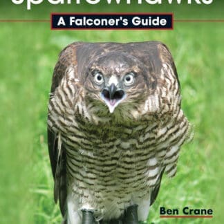 Sparrowhawks (Ebook)