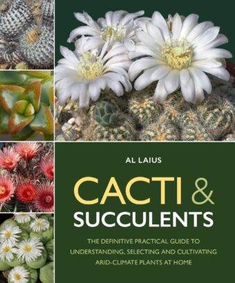 Cacti & Succulents