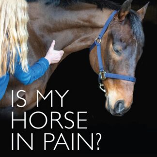 Is My Horse in Pain?