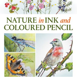 Nature in Ink and Coloured Pencil