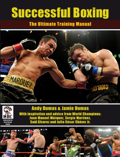Successful Boxing (Ebook)