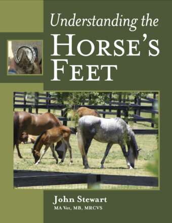 Understanding the Horse’s Feet
