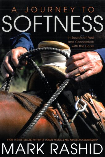 A Journey to Softness (Ebook)