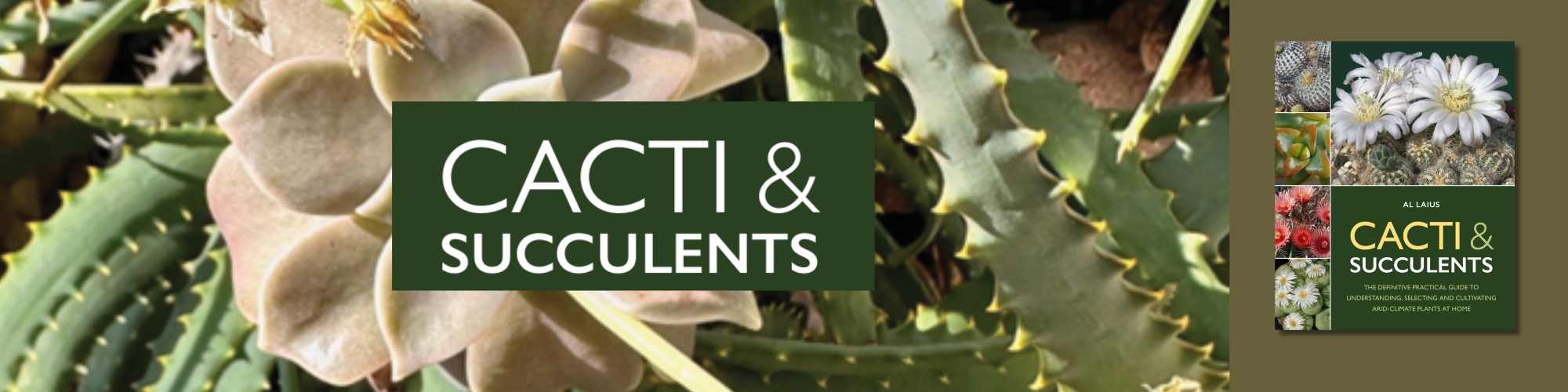 Cacti & Succulents by Al Laius